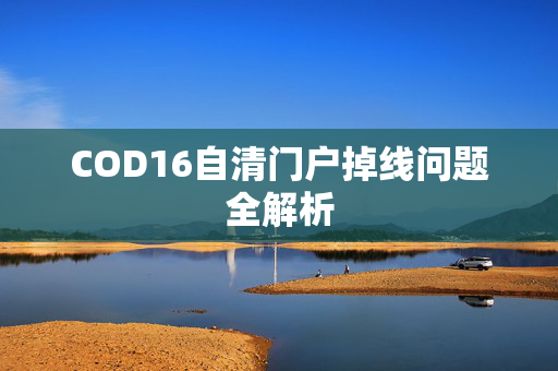 COD16自清门户掉线问题全解析