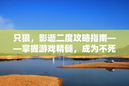 只狼，影逝二度攻略指南——掌握游戏精髓，成为不死之魂
