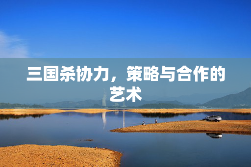 三国杀协力，策略与合作的艺术