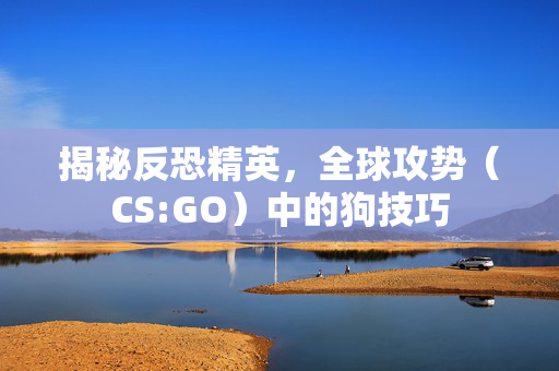揭秘反恐精英，全球攻势（CS:GO）中的狗技巧