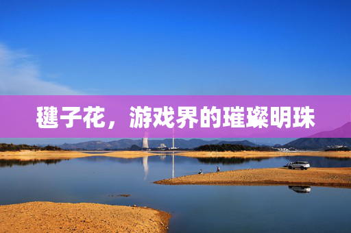 毽子花，游戏界的璀璨明珠