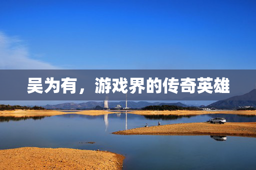 吴为有，游戏界的传奇英雄