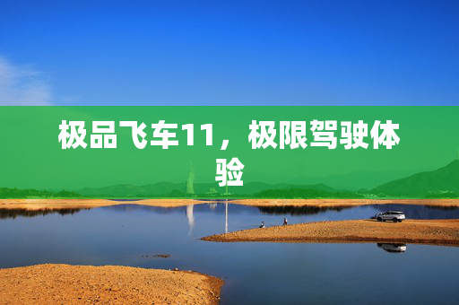 极品飞车11，极限驾驶体验