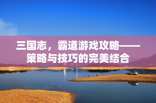 三国志，霸道游戏攻略——策略与技巧的完美结合