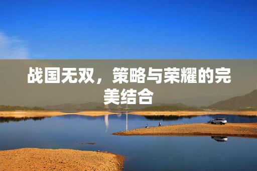 战国无双，策略与荣耀的完美结合
