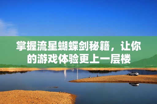 掌握流星蝴蝶剑秘籍，让你的游戏体验更上一层楼