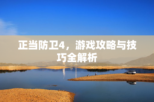 正当防卫4，游戏攻略与技巧全解析