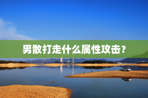 男散打走什么属性攻击？