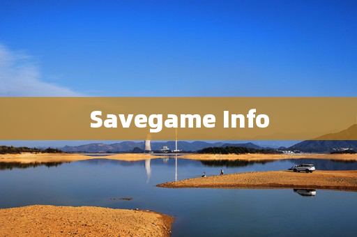 Savegame Info