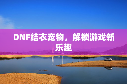 DNF结衣宠物，解锁游戏新乐趣