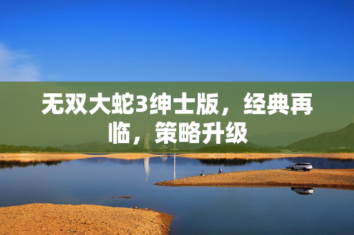 无双大蛇3绅士版，经典再临，策略升级