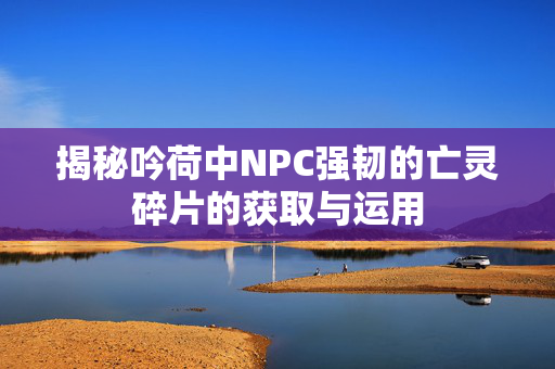 揭秘吟荷中NPC强韧的亡灵碎片的获取与运用