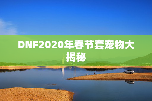 DNF2020年春节套宠物大揭秘