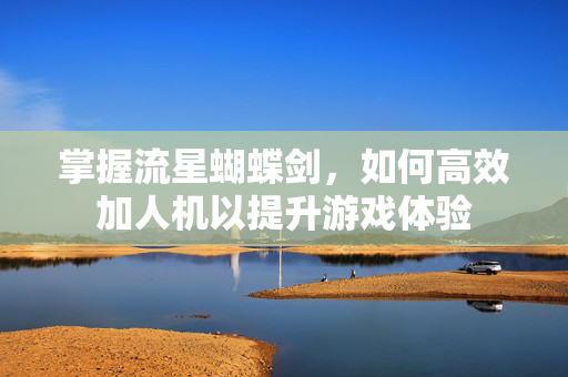 掌握流星蝴蝶剑,如何高效加人机以提升游戏体验 掌握流星蝴蝶剑,如何高效加人机以提升游戏体验