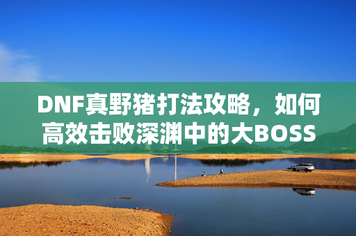 DNF真野猪打法攻略，如何高效击败深渊中的大BOSS