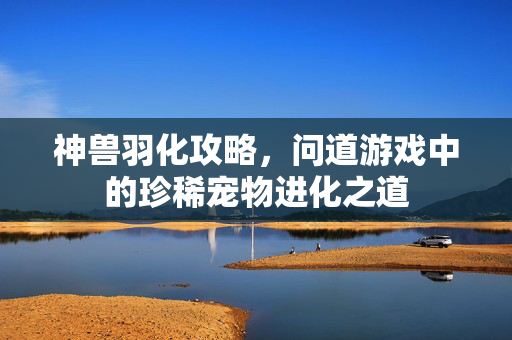 神兽羽化攻略，问道游戏中的珍稀宠物进化之道