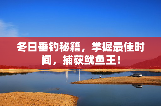 冬日垂钓秘籍，掌握最佳时间，捕获鱿鱼王！