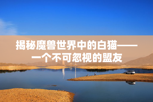 揭秘魔兽世界中的白猫——一个不可忽视的盟友