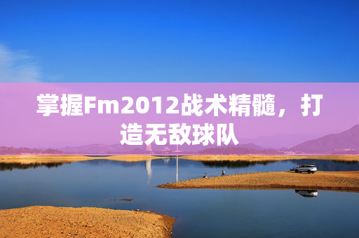 掌握Fm2012战术精髓，打造无敌球队