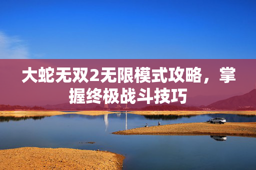 大蛇无双2无限模式攻略，掌握终极战斗技巧