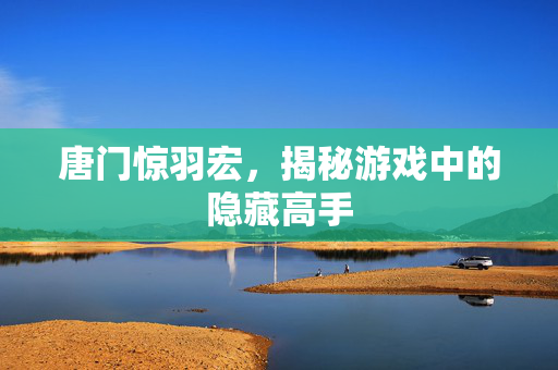 唐门惊羽宏，揭秘游戏中的隐藏高手