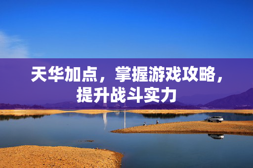 天华加点，掌握游戏攻略，提升战斗实力