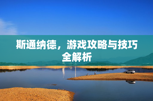 斯通纳德，游戏攻略与技巧全解析