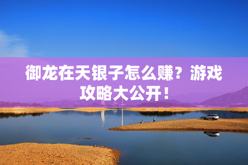 御龙在天银子怎么赚？游戏攻略大公开！