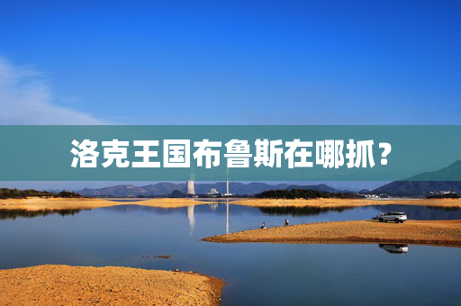 洛克王国布鲁斯在哪抓？
