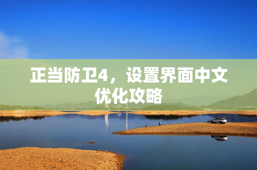 正当防卫4，设置界面中文优化攻略