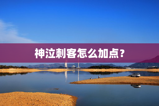 神泣刺客怎么加点？