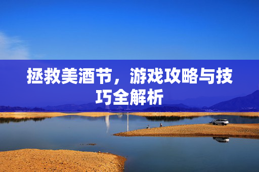 拯救美酒节，游戏攻略与技巧全解析