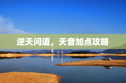 逆天问道，天音加点攻略