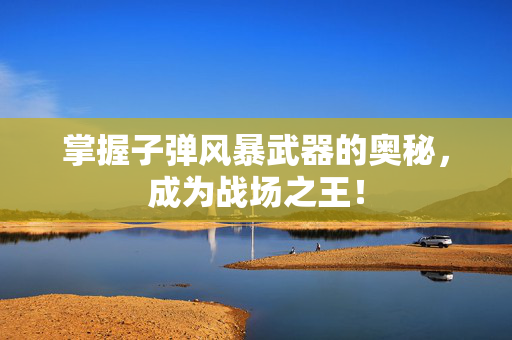 掌握子弹风暴武器的奥秘，成为战场之王！