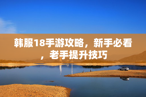 韩服18手游攻略，新手必看，老手提升技巧