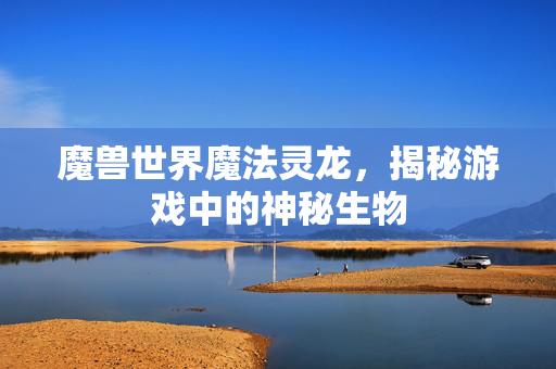 魔兽世界魔法灵龙，揭秘游戏中的神秘生物
