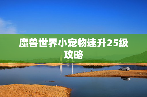 魔兽世界小宠物速升25级攻略