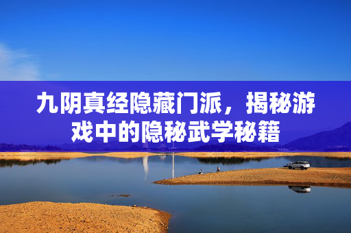 九阴真经隐藏门派，揭秘游戏中的隐秘武学秘籍