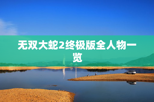 无双大蛇2终极版全人物一览