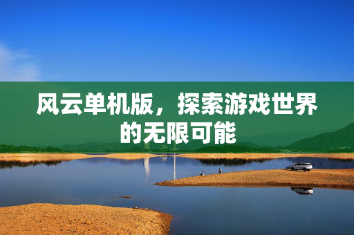 风云单机版，探索游戏世界的无限可能