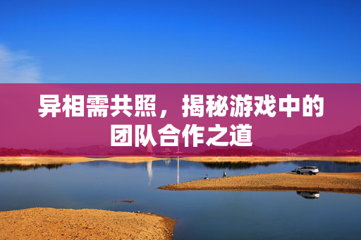 异相需共照，揭秘游戏中的团队合作之道