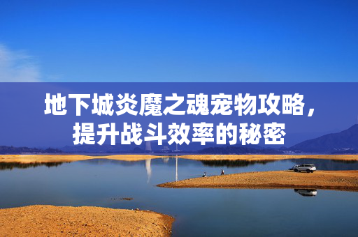 地下城炎魔之魂宠物攻略，提升战斗效率的秘密