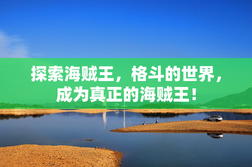 探索海贼王,格斗的世界,成为真正的海贼王! 探索海贼王,格斗的世界,成为真正的海贼王!