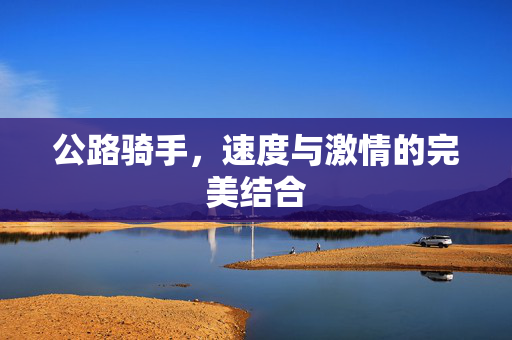 公路骑手，速度与激情的完美结合