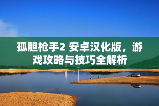 孤胆枪手2 安卓汉化版，游戏攻略与技巧全解析