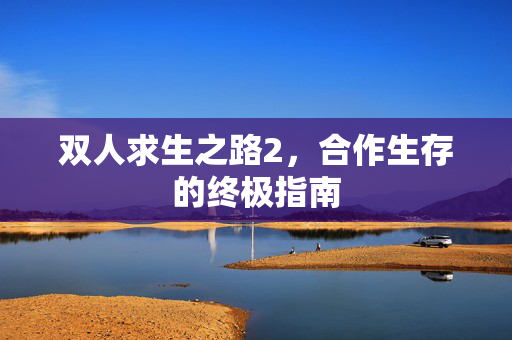 双人求生之路2，合作生存的终极指南