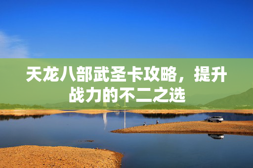 天龙八部武圣卡攻略，提升战力的不二之选