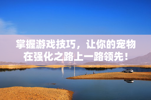 掌握游戏技巧，让你的宠物在强化之路上一路领先！