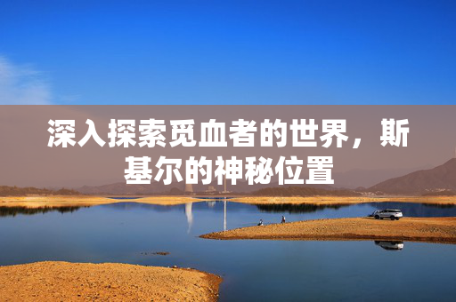 深入探索觅血者的世界，斯基尔的神秘位置