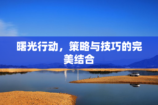 曙光行动，策略与技巧的完美结合